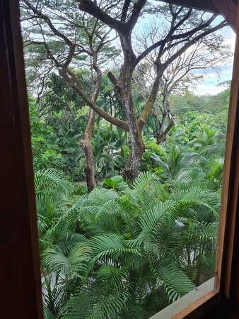 Casas de Soleil主图