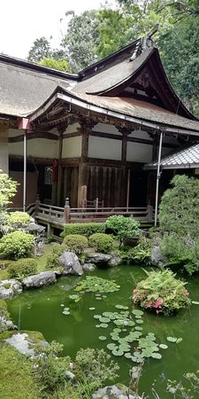 Basho no Ike-大津市必去景点