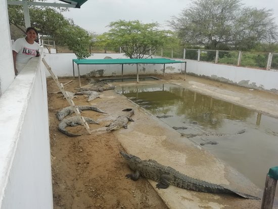 Zoocriadero de Cocodrilos-Tumbes必去景点