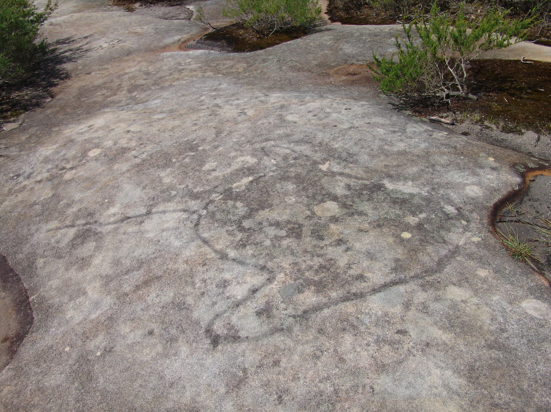 Dharawal Aboriginal Engravings Site景点图片