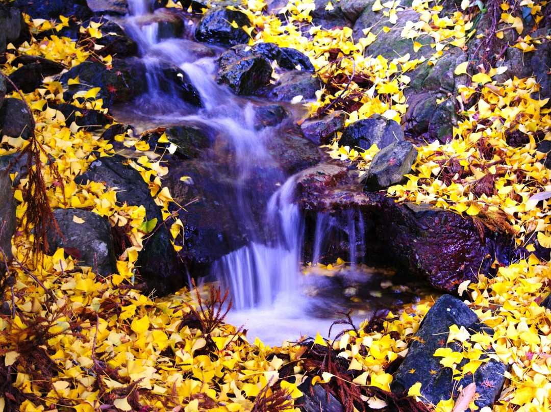 久山町旅游攻略图片