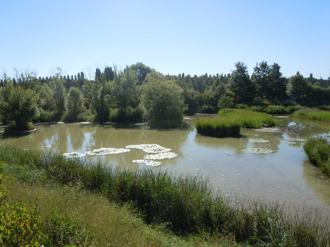 null-Aulnay-sous-Bois