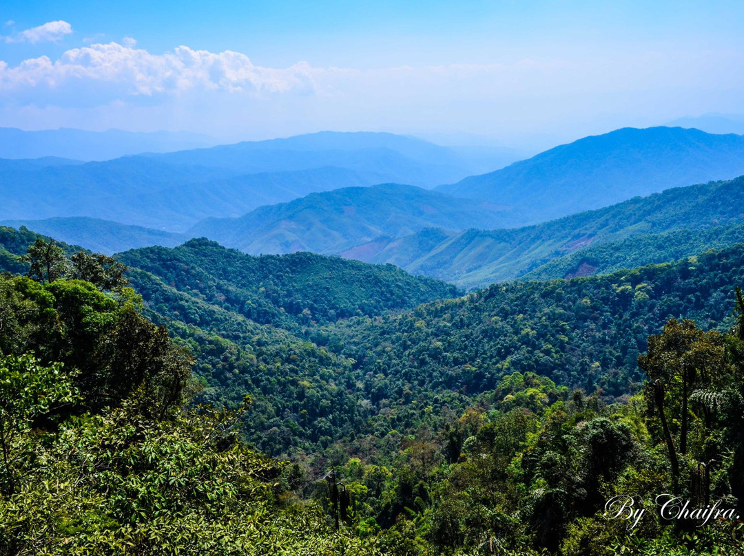 Doi Phu Kha National Park景点图片