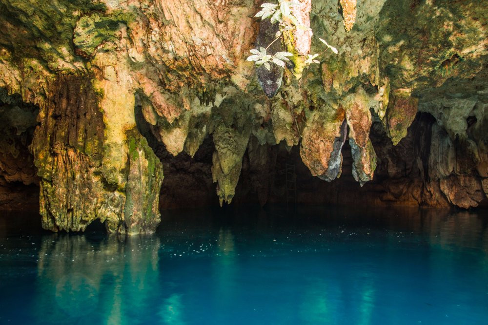 Cenote La Noria景点图片