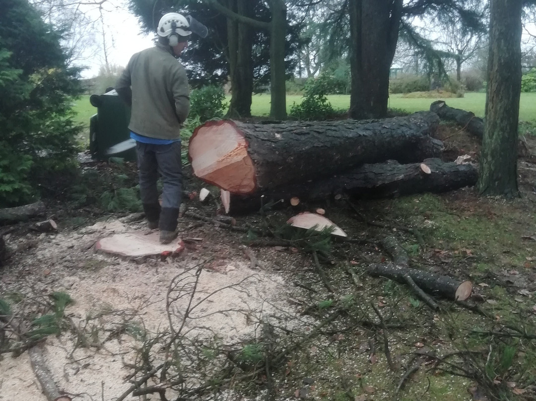 Eurasia Tandoori Restaurant