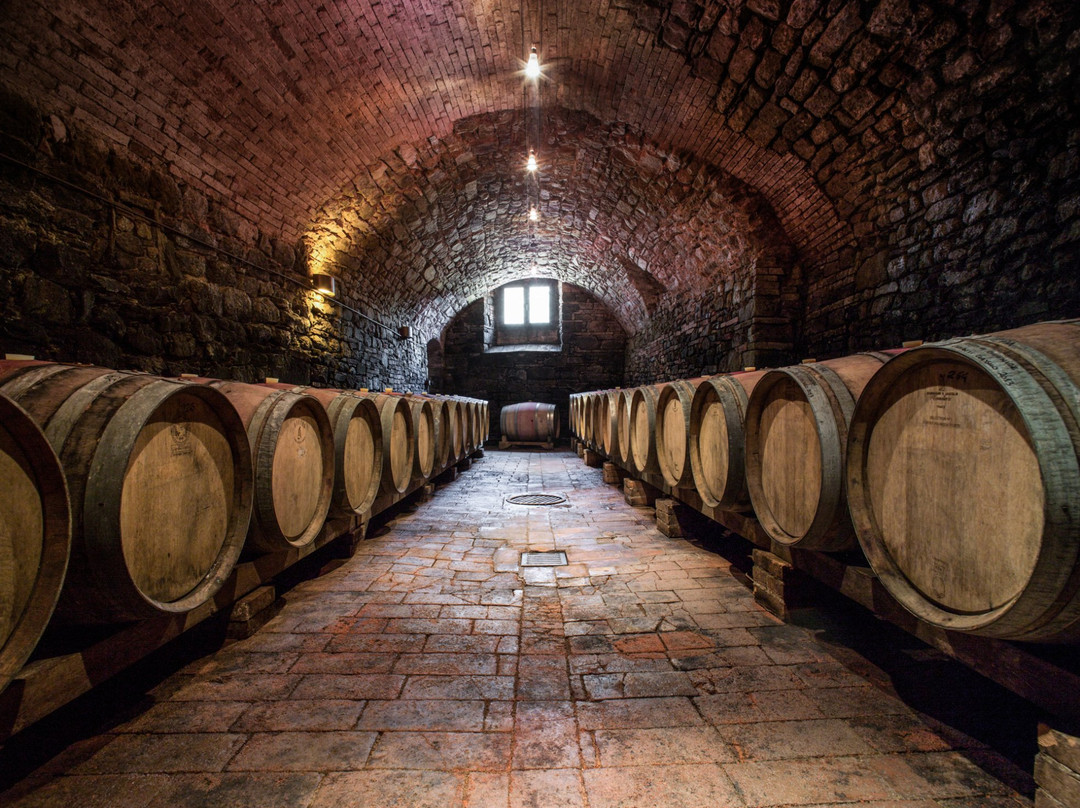 拉达因基安蒂旅游景点-Cantina Castelvecchi in Chianti