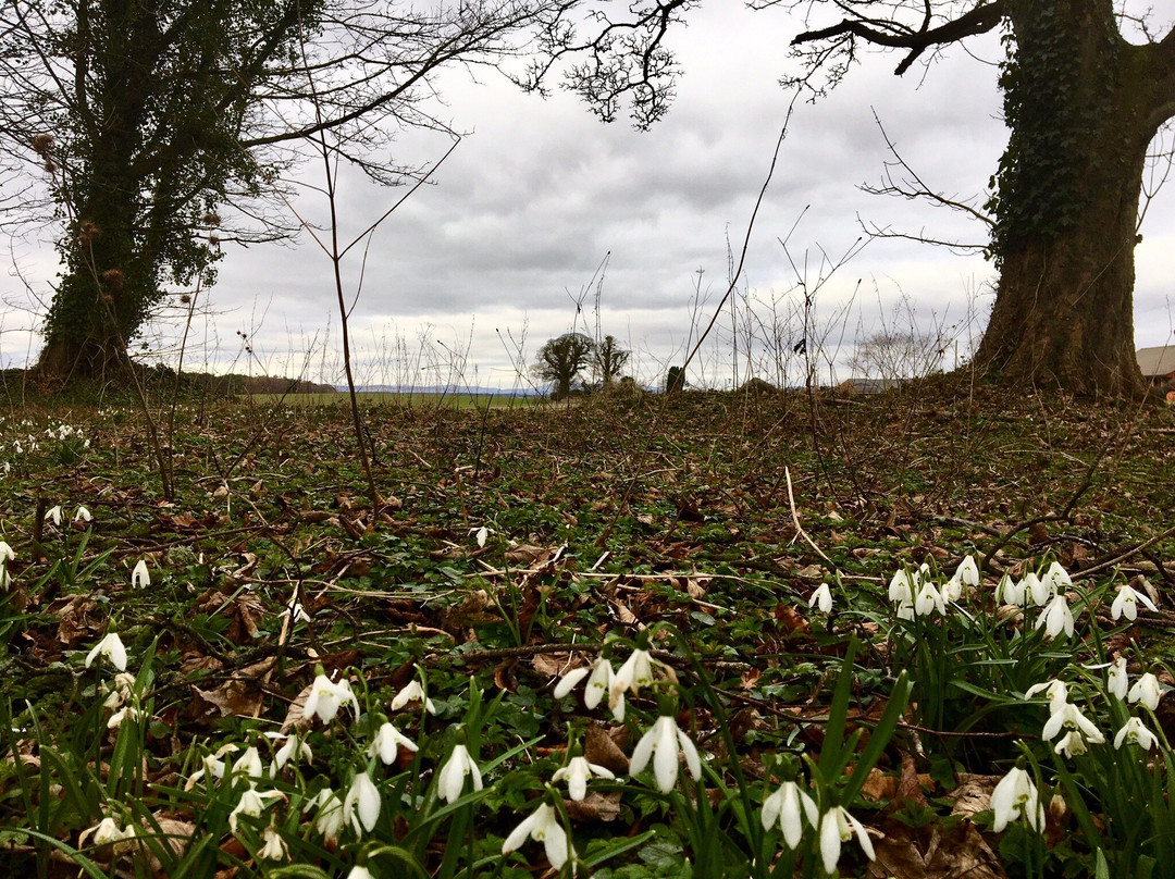 Carmyllie旅游攻略图片
