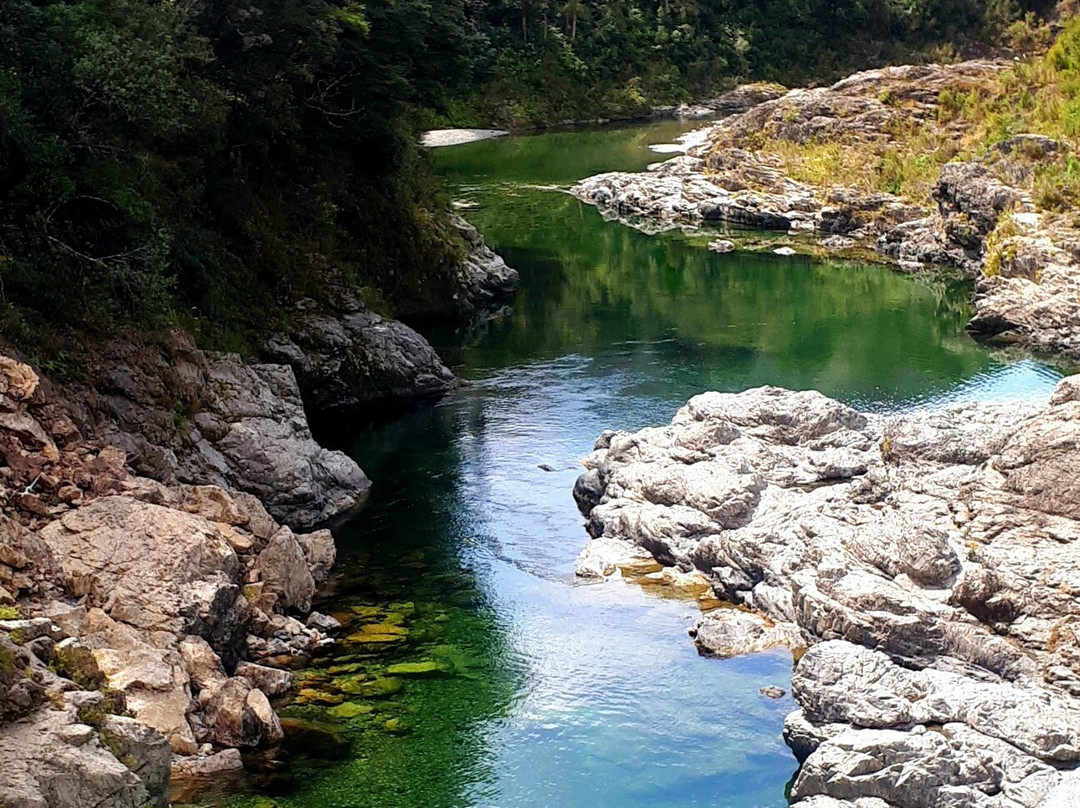 Pelorus Bridge Scenic Reserve景点图片