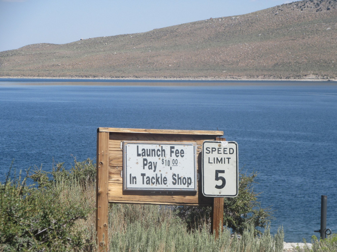 Grant Lake Marina景点图片