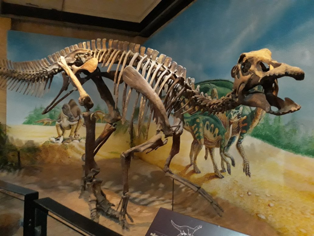 Sirindhorn Museum and Phu Kum Khao Dinosaur Excavation Site景点图片
