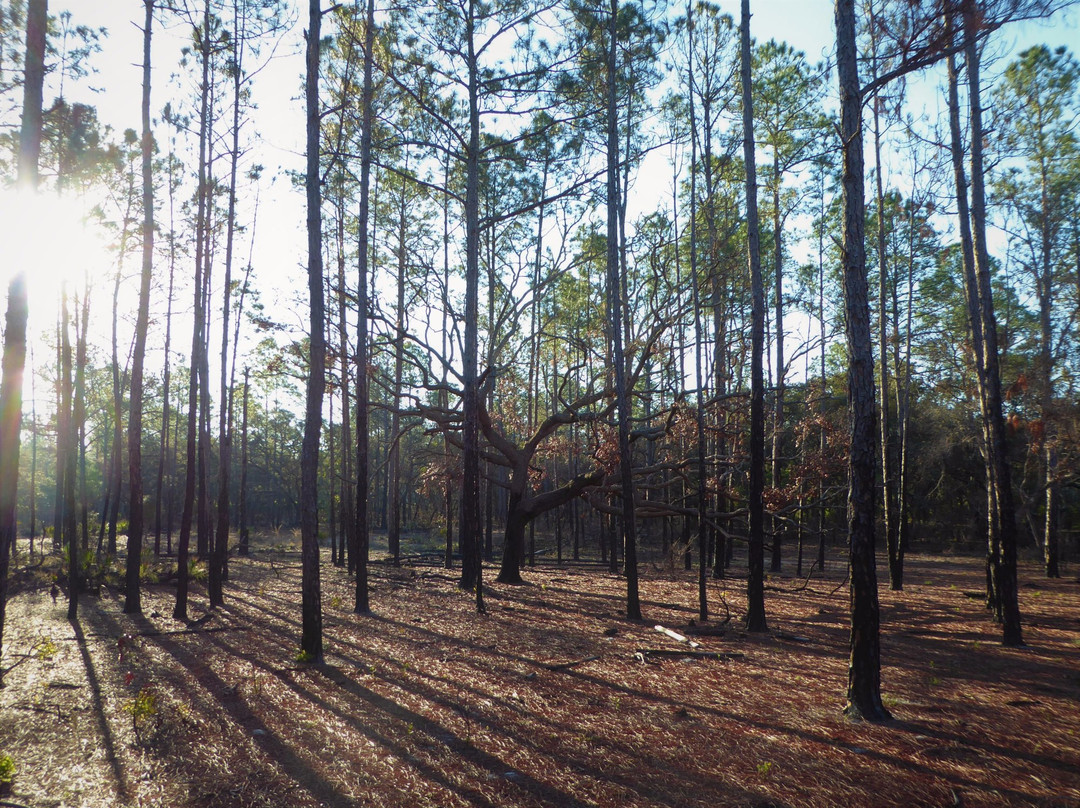 Johnson Pond Trailhead