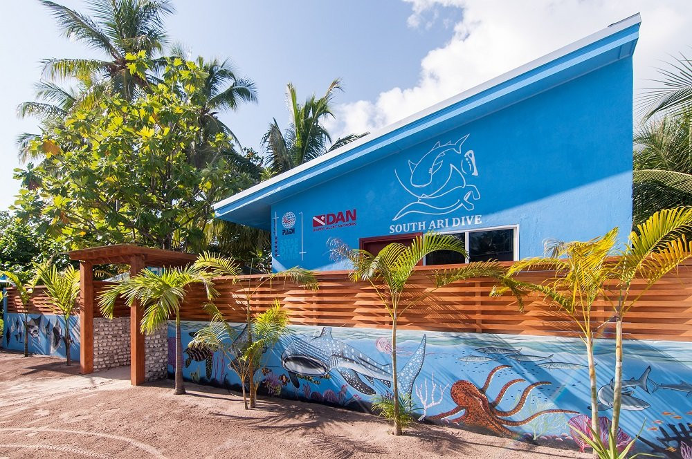 South Ari Dive Center主图