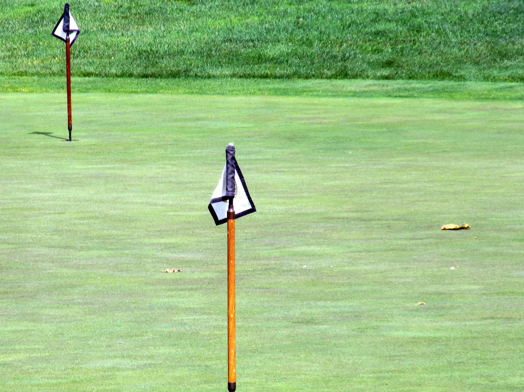 The Course at Wente Vineyards-利佛摩必去景点