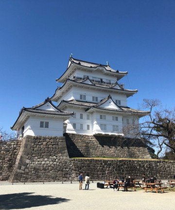 Odawara Castle Tenshukaku景点门票图片