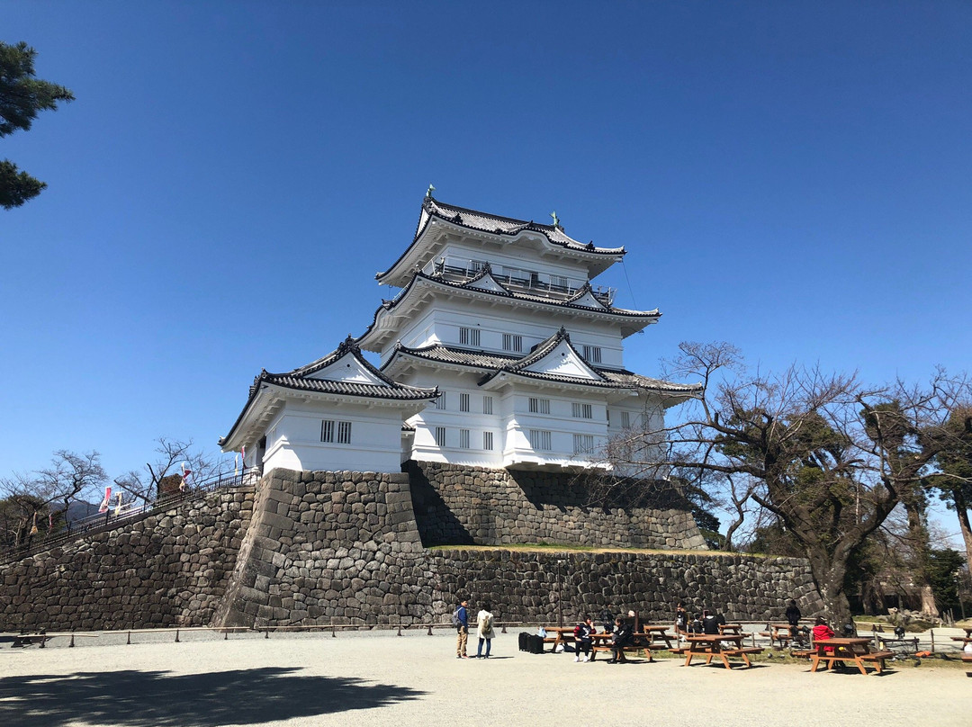 Odawara Castle Tenshukaku景点图片