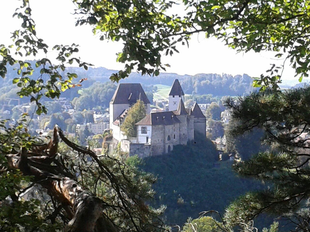 Burgdorf Castle景点图片