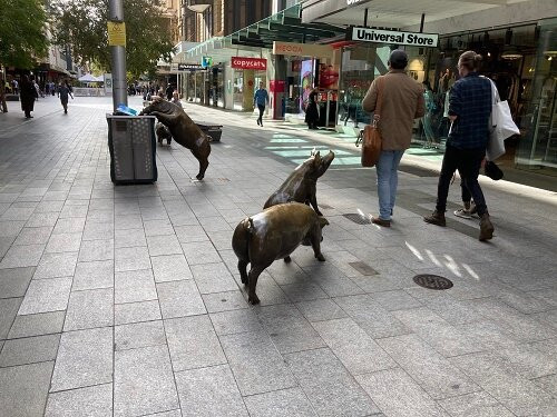 The Rundle Mall Pigs-阿德莱德必去景点