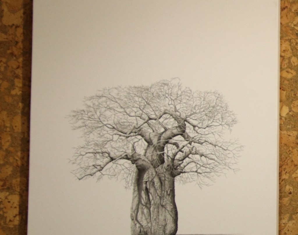 Zevenwacht Cellar & Vineyards-Kuils River必去景点