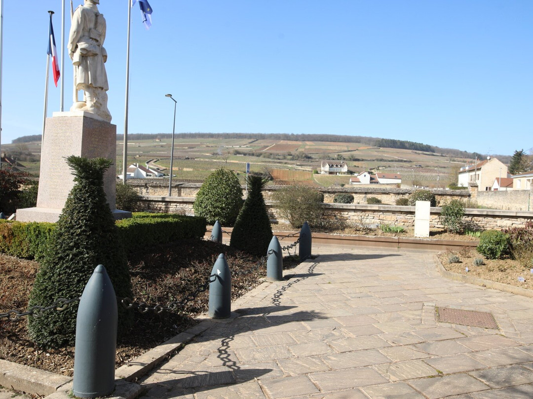 Monument Aux Morts De Ladoix-serrigny景点图片