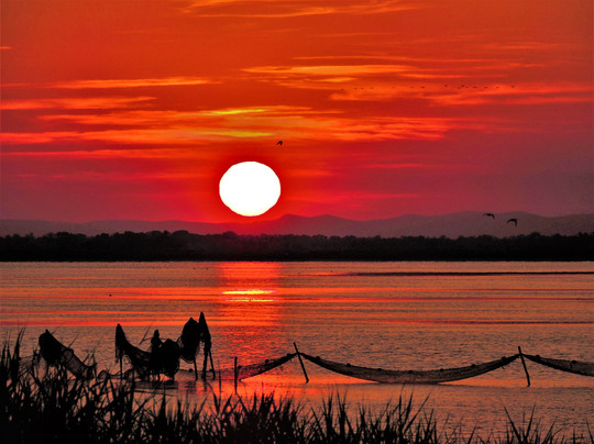 Port-Saint-Louis-du-Rhone酒店住宿-La Camargue