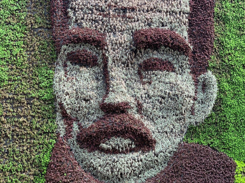 鲁迅记念馆-上海市必去景点