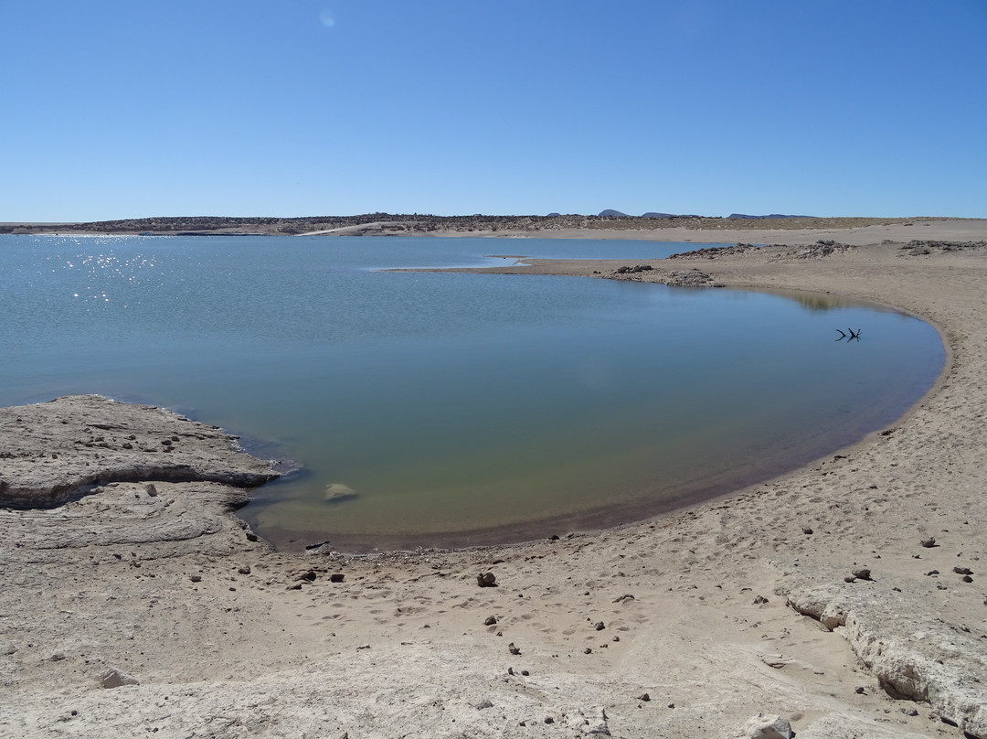 Elephant Butte Lake State Park景点图片