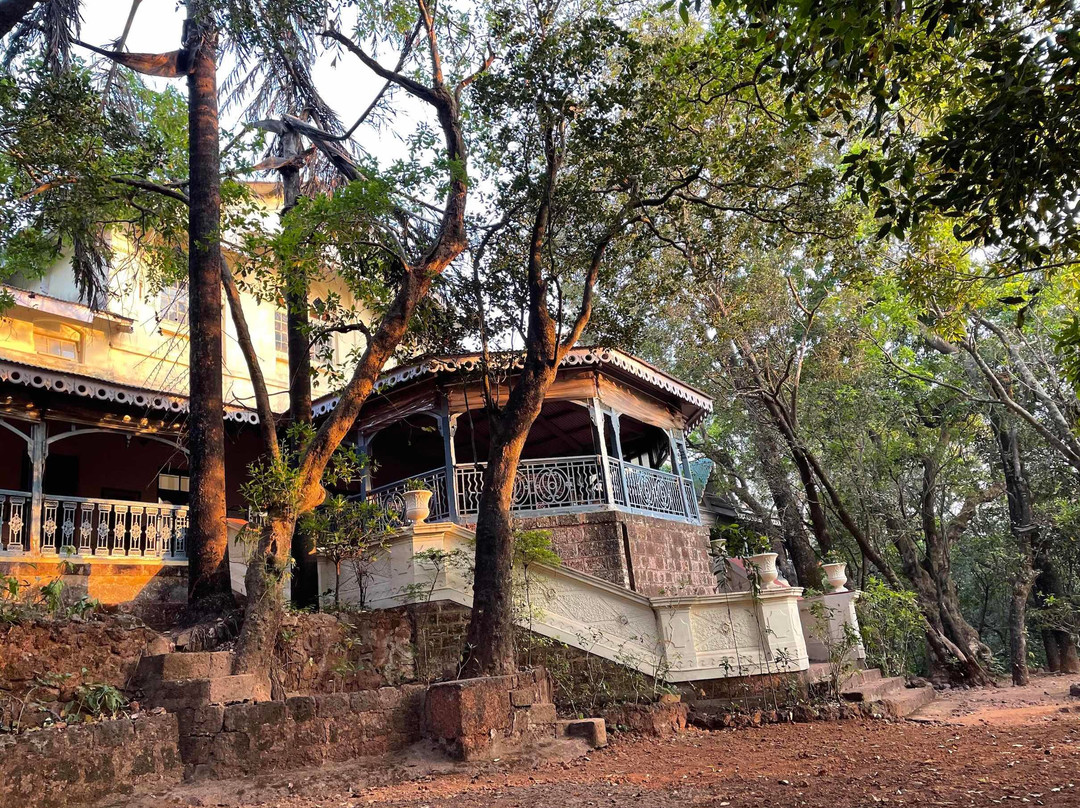 Dune Barr House - Verandah In The Forest主图