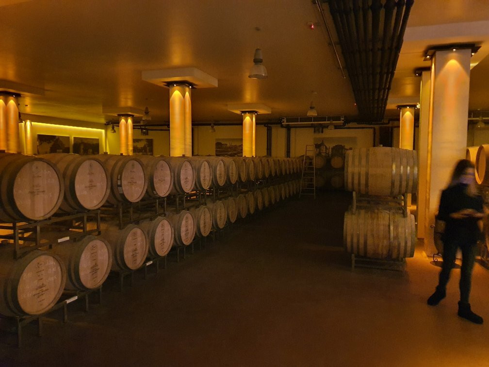 Winery Zvonko Bogdan, Subotica景点图片