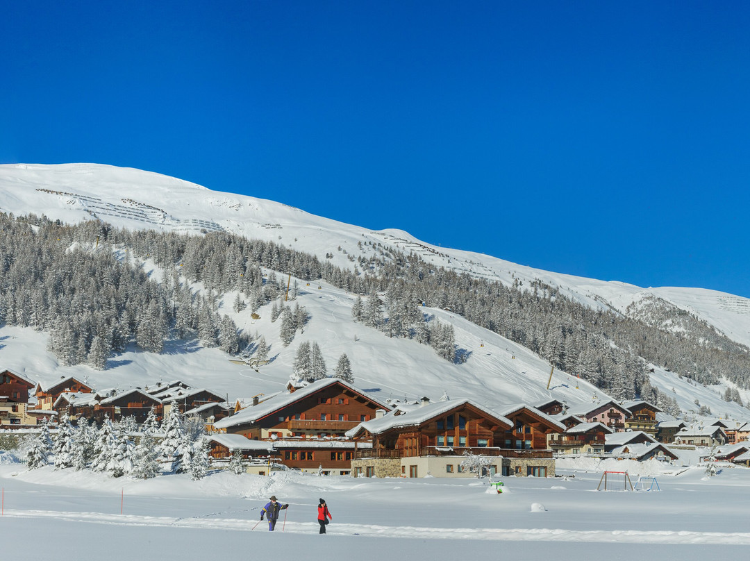 Paradise Lodge主图