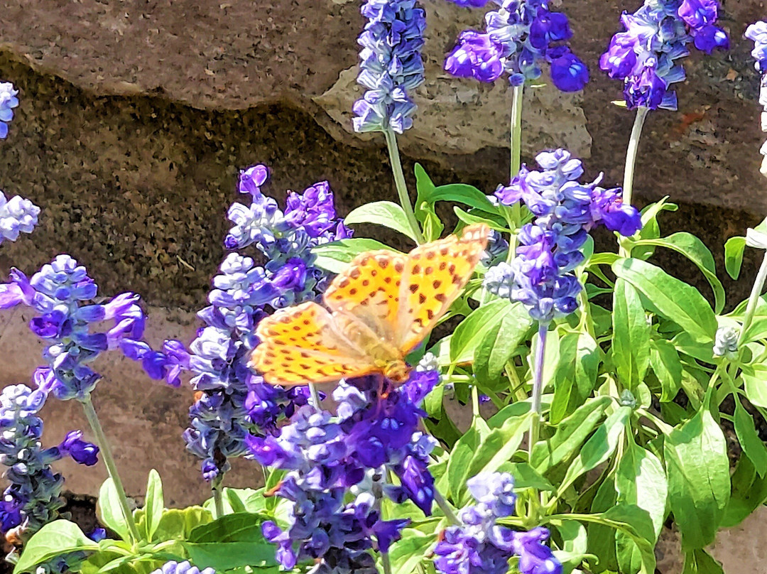 Centro Storico di Tarquinia-塔尔奎尼亚必去景点