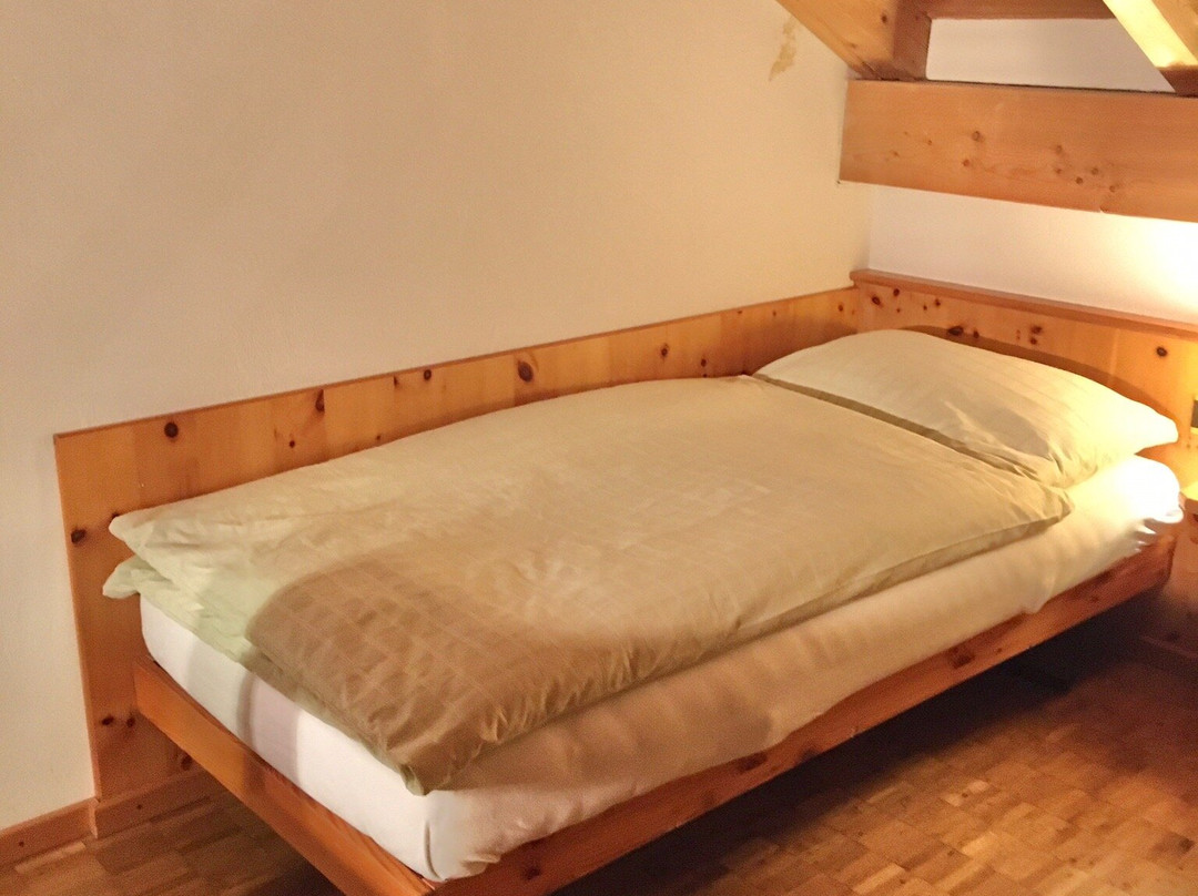 Hotel Albula & Julier主图