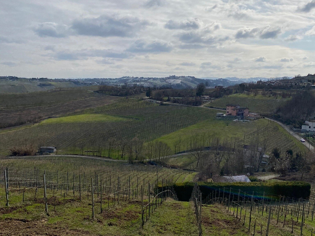 Azienda Agricola Paravella-Stradella必去景点