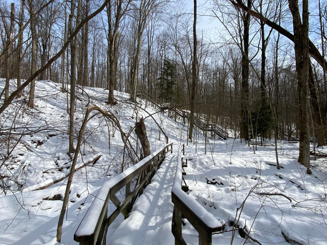 Whitlam Woods-Chardon必去景点
