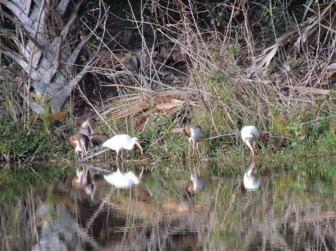 Kiwanis Park-夏洛特港必去景点