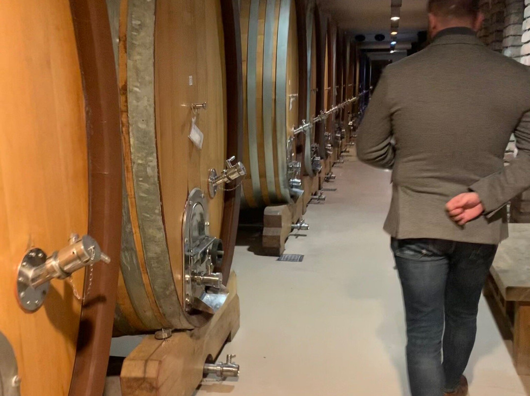 Winery Aleksandrovic-Topola必去景点