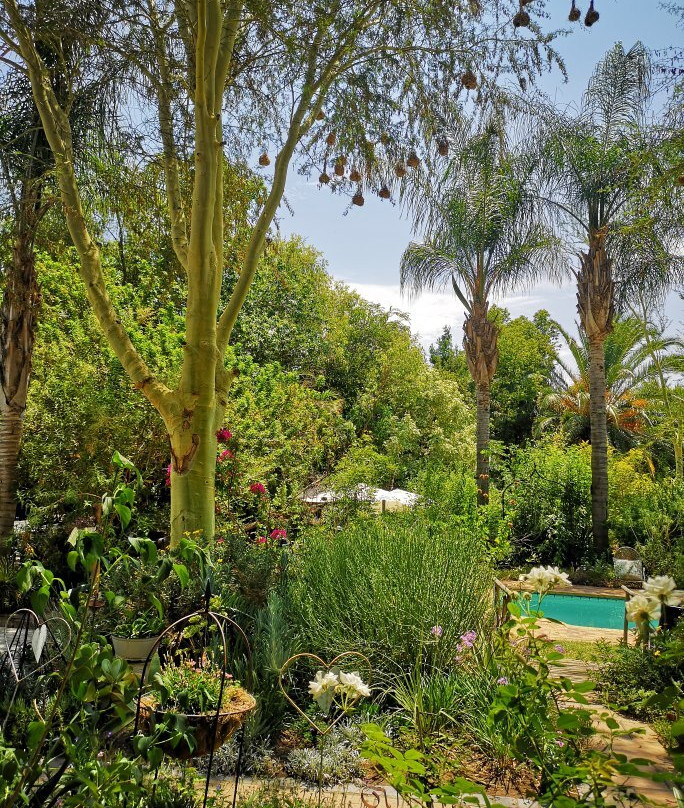 Yellow Aloe Guest House主图