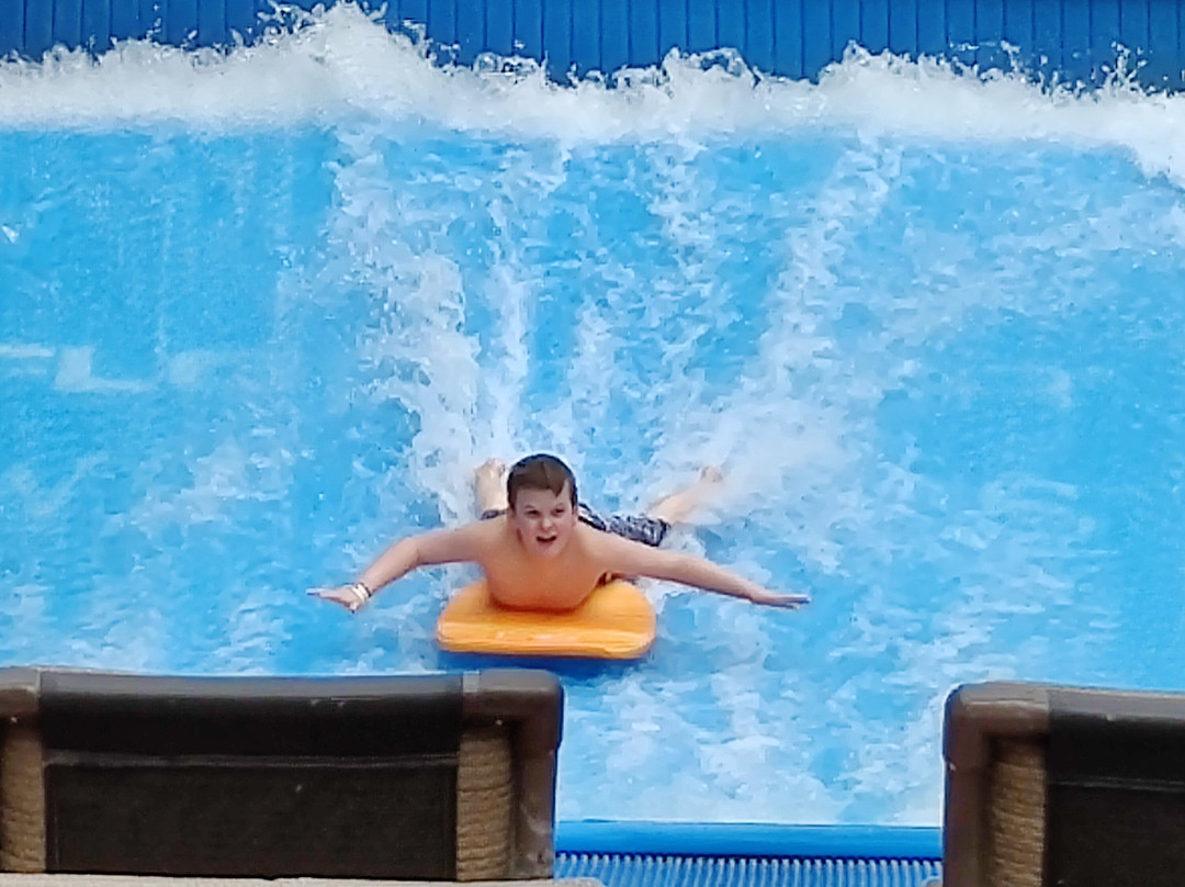 Wilderness at the Smokies-塞维尔维尔必去景点