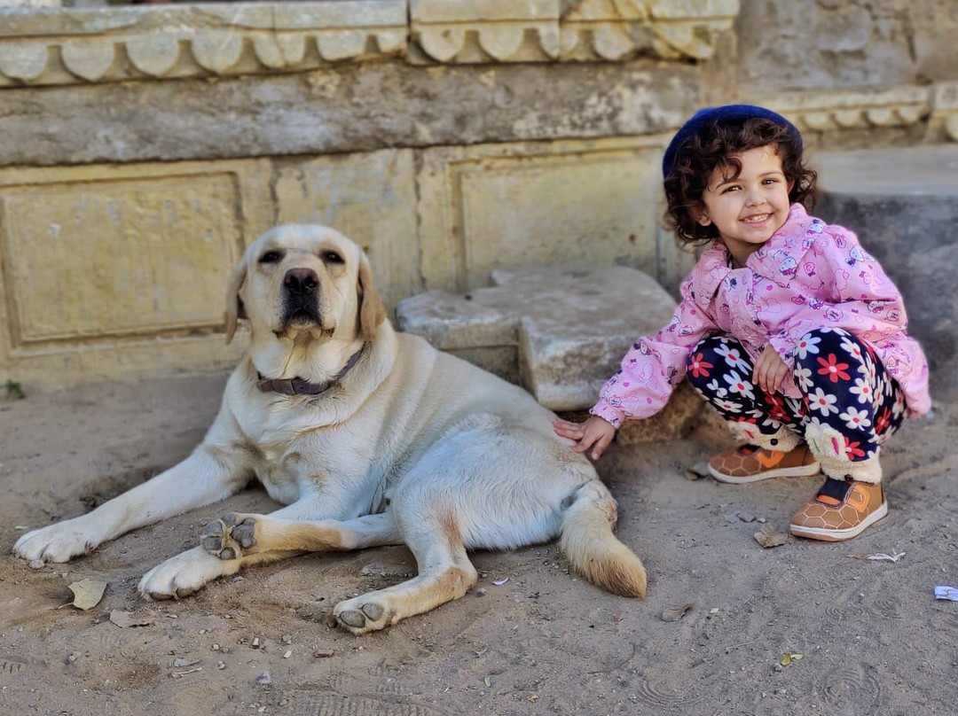 NotOnMap - Nora Homestay主图