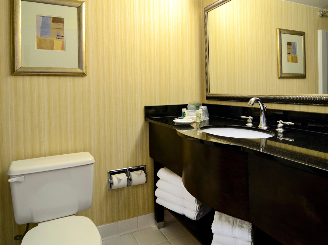 华盛顿特区-马里兰州格林贝尔特假日酒店主图