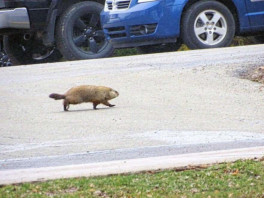 Vintage Secrets Antique Mall-Canonsburg必去景点