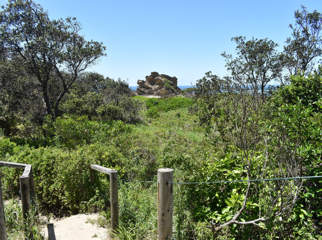 Nyambagga Walking Trail景点图片