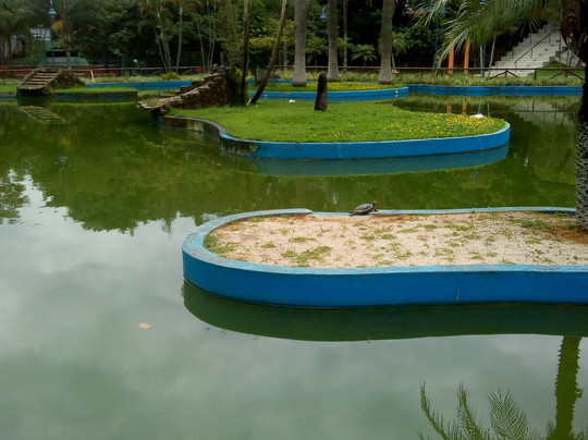 Parque Catarina Scarparo D'Agostini-Sao Caetano do Sul必去景点