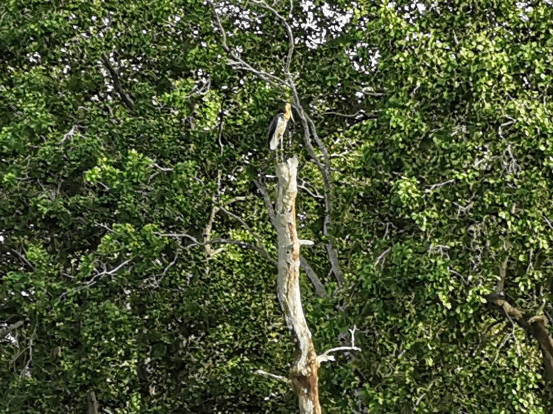 Pantai Leka, Parit Jawa, Muar-麻坡必去景点
