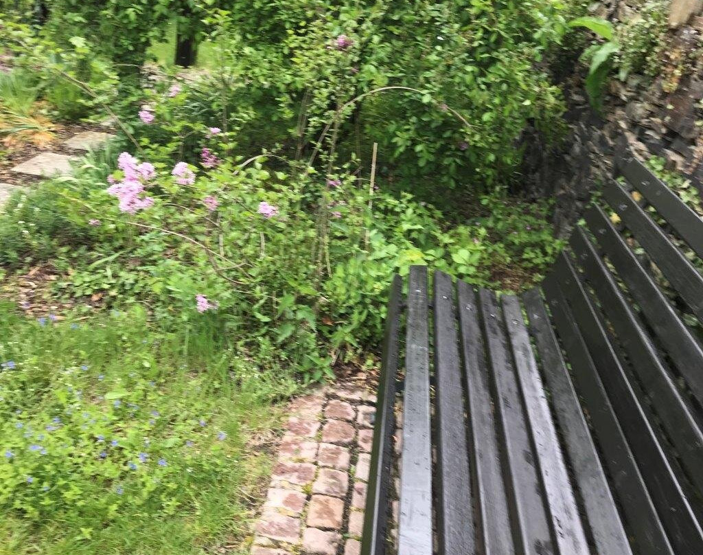 Schlossgarten景点图片