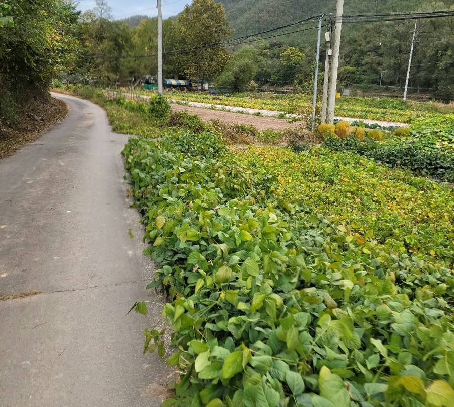 Amsan Pleasure Ground-安东市必去景点