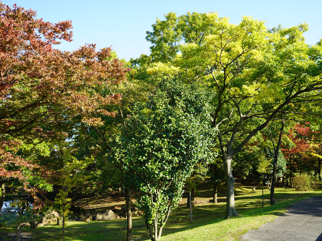 Imoriyamashiseki Park景点图片