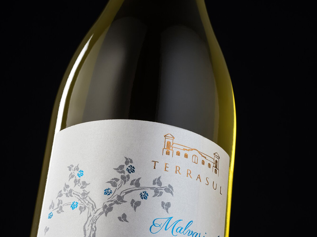 Terrasul Vinhos Finos景点图片