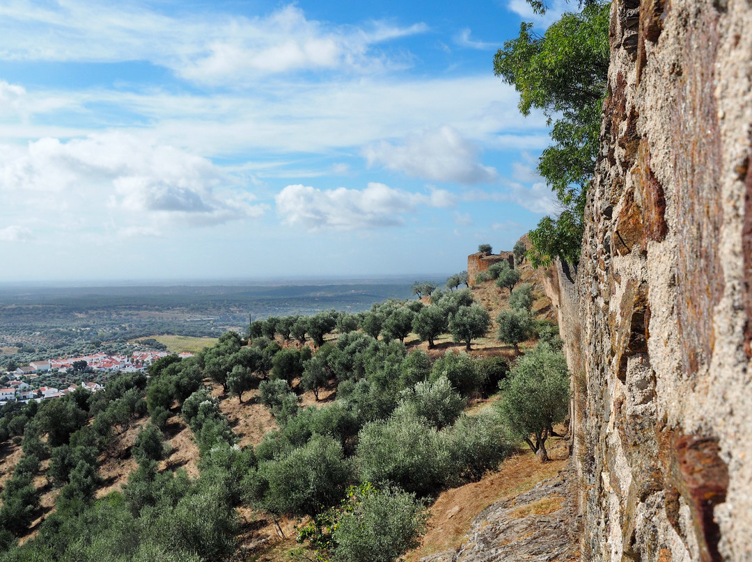 Castelo de Evoramonte景点图片