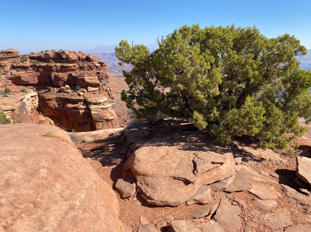 Grand View Point Overlook-峡谷地国家公园必去景点