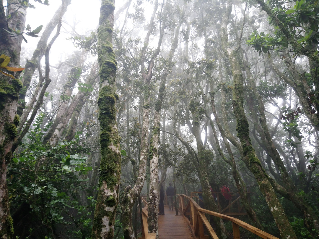 La Serena Turismo Chile-拉塞雷纳必去景点